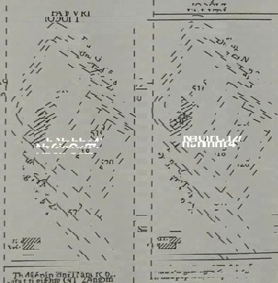 Bán đất lúa chính chủ xã Cần Đước Tỉnh Tây Ninh (Long An Cũ)