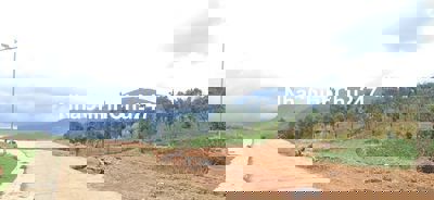 Chính chủ cần bán đất 320m² sẵn thổ cư view rừng thông ven Đà Lạt