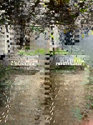 Bán Lô Đất chính chủ Kiệt Ô tô đường Minh Mạng - Tp Huế