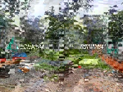 Bán đất chính chủ - Xã Đức Hoà Hạ - Đức Hoà - Long An - 124m2