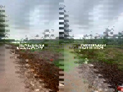 chủ đất kẹt tiền muốn bánh nhanh lô đất thổ cư sổ sẵn