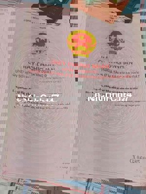 Chính chủ có nhu cầu bán đất Tổ 2 khu Tân Xuân