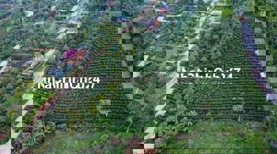 CHÍNH CHỦ NGỘP TIỀN – CẦN THANH TOÁN GẤP – BÁN ĐẤT NGHỈ DƯỠNG