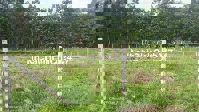 Chính chủ bán đất Lai Hưng Bàu Bàng, 25x45m, giá 2.4 tỷ