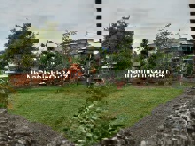 ĐẤT CHÍNH CHỦ, ĐỨC HOÀ LONG AN, SỔ HỒNG MỚI 2025