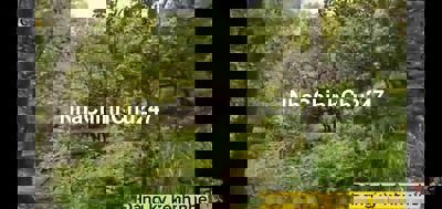 Đất chính chủ ngay khu trung tâm du lịch Dray sáp