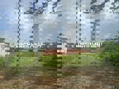 Đất Thổ Cư Chủ Đăng 10x30=300m2 Full Thổ Cư