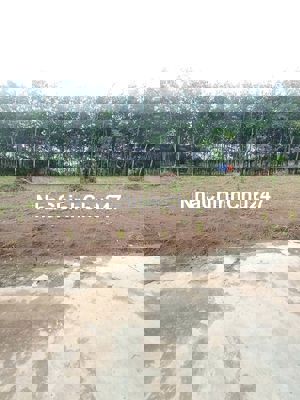 Chủ gửi bán gấp lô đất ngay trung tâm TP Đồng Xoài (Cũ)