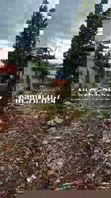 bán đất mặt tiền gần trường, chính chủ