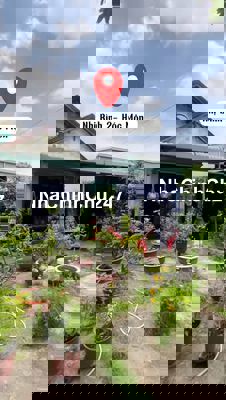 Chính chủ bán nhà vườn, ngang 13m, 358m2 mặt tiền Nhị Bình 2, Hóc Môn