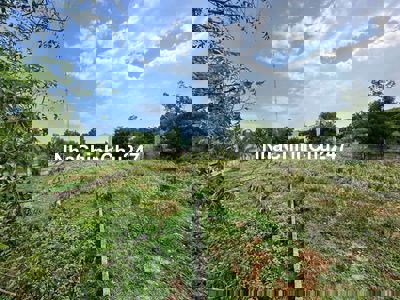 CHÍNH CHỦ CẦN BÁN GẤP 1.000m² ĐẤT THUỘC THỬA LỚN 1.900,6m²