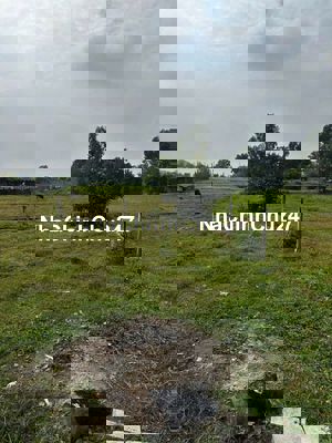 PHƯỚC HIỆP CỦ CHI 300 TRIỆU 140M2 FULL THỔ CƯ CHỦ NGỘP BANK BÁN GẤP !!