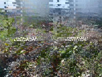 Bán đất chính chủ cuối Ymoan rẻ trái