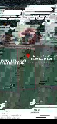 Chính chủ bán đất đường 171 bình mỹ củ chi , 2257m2 ( 29,5 x 71 )