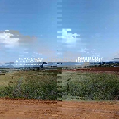 CHỦ CẦN TIỀN DỰ ÁN – THANH LÝ ĐẤT VIEW ĐỒI TÂN HỘI 190M² – GIÁ 460 TR