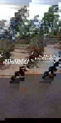 Chính chủ bán lô đất đẹp khu dân cư  gần núi