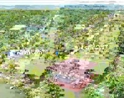 BÁN GẤP LÔ ĐẤT CHÍNH CHỦ- CHỈ 750 TRIỆU SỞ HỮU NGAY