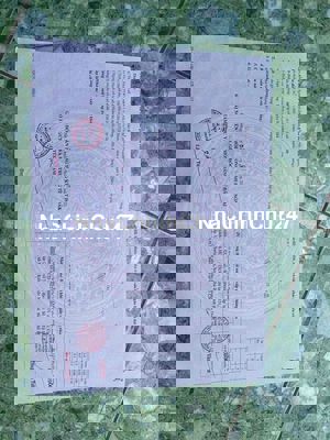 9 chủ kẹt tiền cần bán gấp MT đường nhựa 2 xe tải tránh nhau giá hời