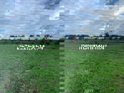 Chính chủ Cần bán 3,2ha đất tại X. Hàm Liêm, chỉ 250tr/xào, giá tốt