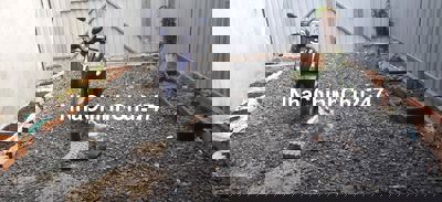 Chính chủ bán đất mặt tiền chỉ 1 sec hẻm 1896 Lê Văn Lương, Nhà Bè