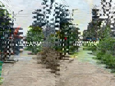 chủ cần bán hoa hồng tốt