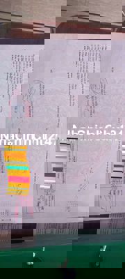 Chủ cần bán gấp hơn 1000m2 CLN, Nhân Cơ