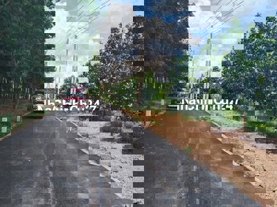 Chủ Ngộp 5x50x100 An linh , Phú giáo  ( giá 450trieu)