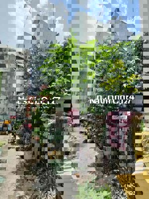 chính chủ cần bán đất nguyễn văn quá 66m2