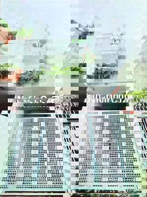 Chinh chu Cần bán nhanh nhà 2 mê đường chính K66 Trần Đình Tri