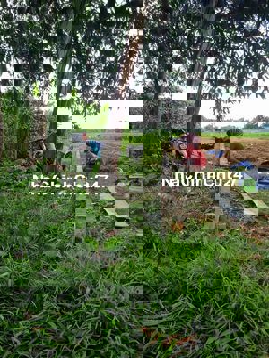 Chủ cần bán lô đất 200m2 ở Mỹ Yên, Bến Lức. giá 680 triệu SHR.