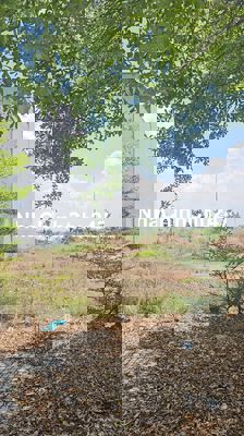 Chính chủ bán nền đẹp KDC Tên Lửa 2 Giá tốt từ 15tr/m² SHR, xây tự do!