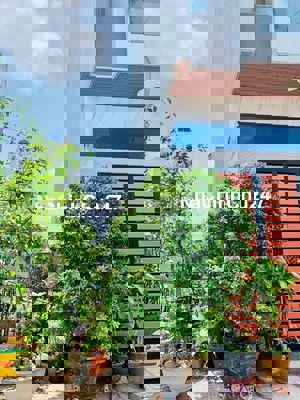 Chính chủ gửi bán lô đất trong KDC Tây Lân giá cực tốt. Sổ hồng riêng