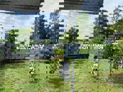 Chính chủ gửi bán gấp miếng đất có trồng ít cây như hình trong tuần xo