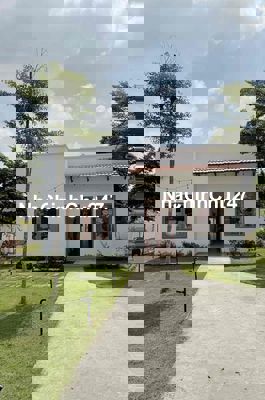 Chính chủ Cần Bán Gấppp căn nhà TÂM HUYẾT gần Chợ Bình Chánh.