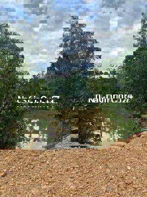 Chính Chủ Cần Bán Gấp Mảnh Vườn 1000m2 Full Hồng, Có 80m2 Thổ Cư