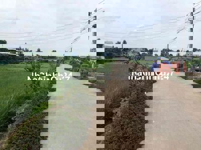 CHÍNH CHỦ cần bán 2000m2 đất lúa, tại Phước Đông, Cần Đước, Longg An