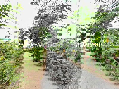 Đất thì vuông, sổ thì sẵn, chủ thì đang rầu – cứu em phát!