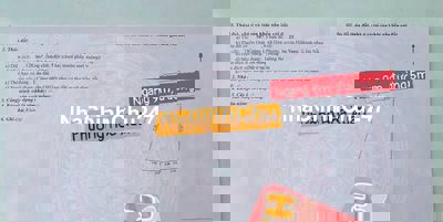 Chính chủ lô ✨ngang 9m✨ nở hậu, Quá Giáng 1, phường Hoà Xuân