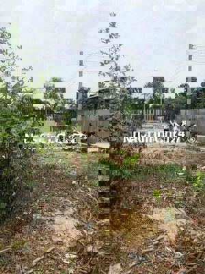 Chính chủ gửi bán 180m2 đất ở đô thị thuộc TT.Cần Đước