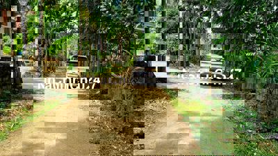 Chính chủ gửi bán lô đất Tân Mỹ, Lạc Sơn, Hòa Bình - 2 ô tô tránh nhau