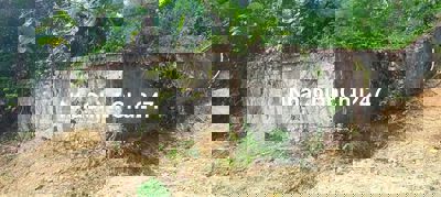 Chính chủ chưa qua môi giới. Bán mảnh đất sổ đỏ cạnh hồ Đồng Chanh, Cư