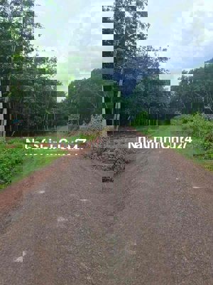 Đất chính chủ cần bán gấp , cách DT 753 chỉ 400m