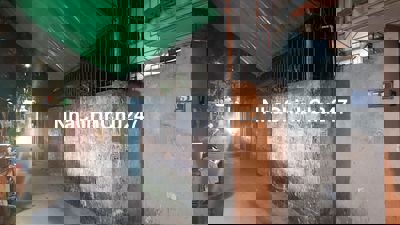 Chính chủ bán gấp nhà ngõ 3m, cách đường Kim Ngưu hơn 100m