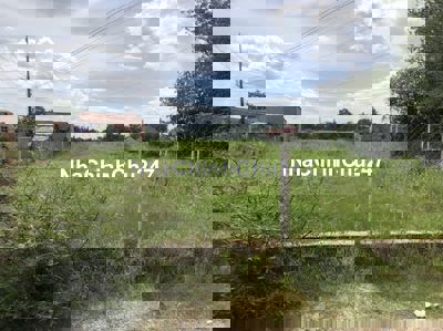 🔥 CHÍNH CHỦ BÁN GẤP ĐẤT THỔ LÚA -  ĐỨC HOÀ ĐÔNG – CHỈ 12 TỶ 🔥