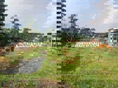 Chủ Ngộp Bán Nhanh 1000m2 Đất Phủ Hồng Cách Chợ Tân Hà 5 Phút