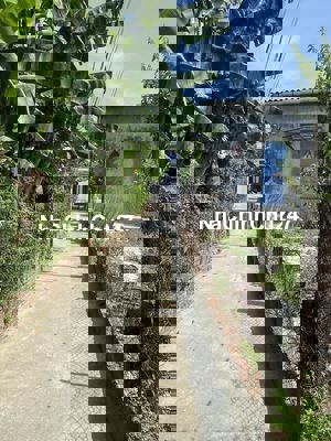 Chính chủ bán đất kiệt trung tâm phố cổ Hội an giá rẻ