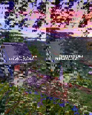 CHỦ ĐI ĐỊNH CƯ BÁN NHÀ VIEW ĐỒI SIÊU THƠ MỘNG😍