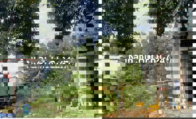 CHỦ NGỘP SỔ SẲN RA NHANH LÔ ĐẤT KĐT Mỹ Phước 3 ,SHR , DTICH 5X30