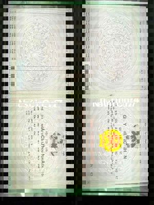 chính chủ cần bán lô đất dt 590m2 đất trồng cây lâu năm tại cần giờ