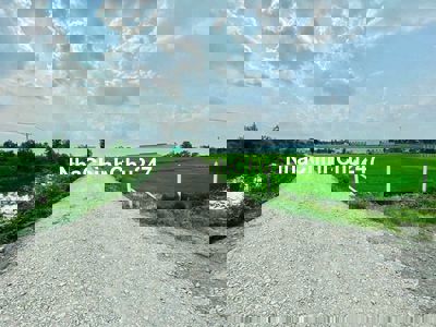 E chính chủ xã lỗ, mua năm 2021 giờ bán lỗ nửa giá